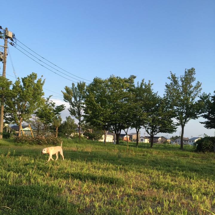 86e97e09 1420 4201 8b38 528c6268e23e