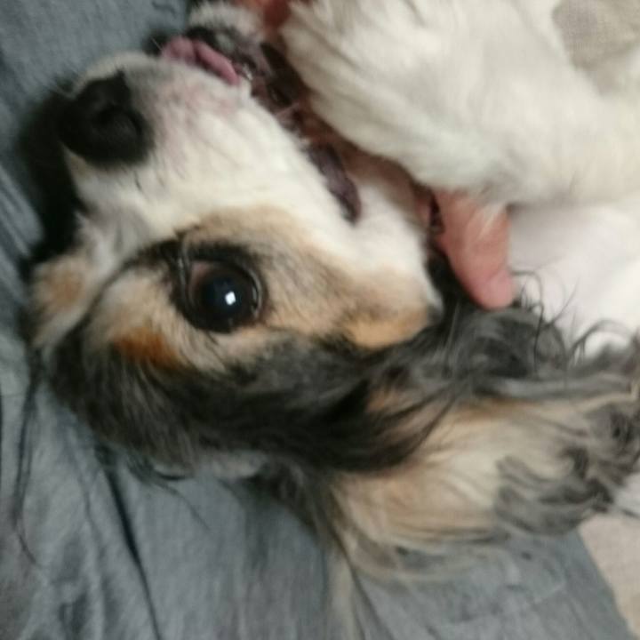 86ea2351 f81d 4a1e b48d d57eacf682f4