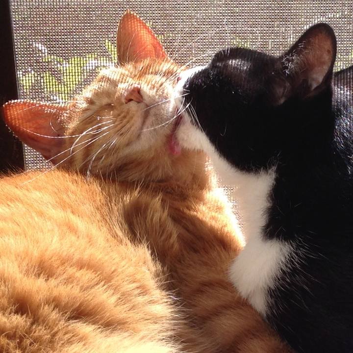 86eaae5e b073 4e8f 92b7 8a0b030d017d