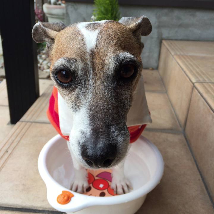 86eacbda 5a87 44a1 bfcf bb8eb1bdc813