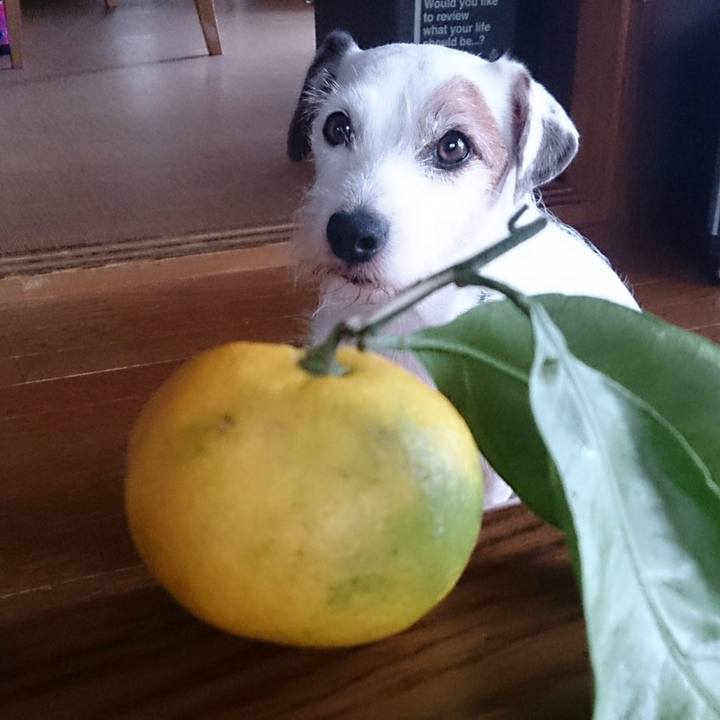 86eadaea 59d7 42b6 99eb a8e8429c97e4