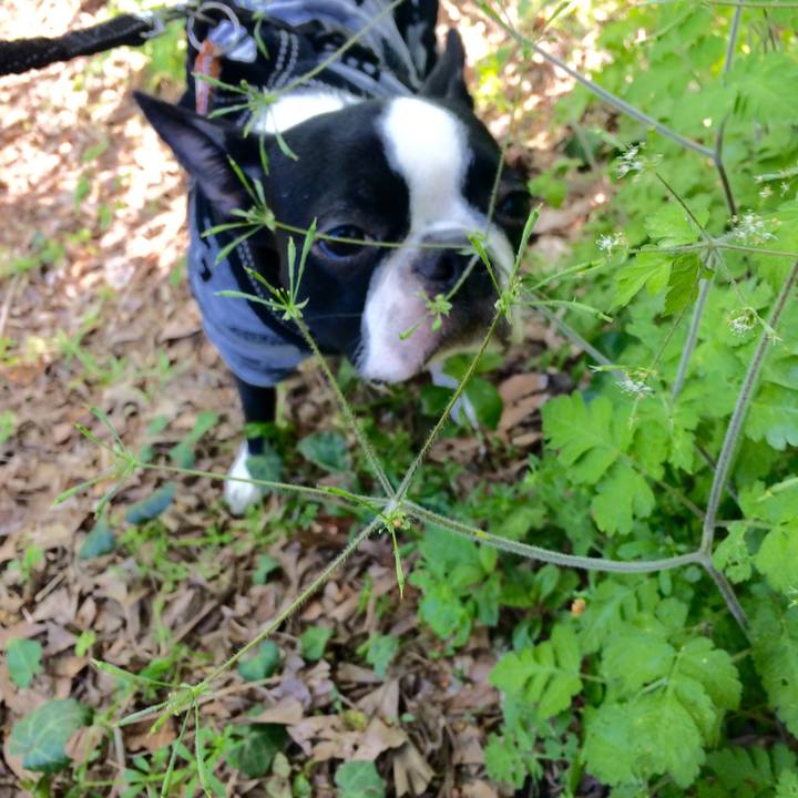 86eb6124 0622 45ab 91a9 0f3440b488ef