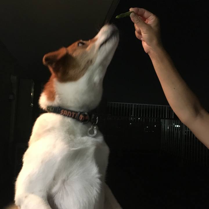 86ebc2c7 568c 4fe7 b45f a3f68cba5e60