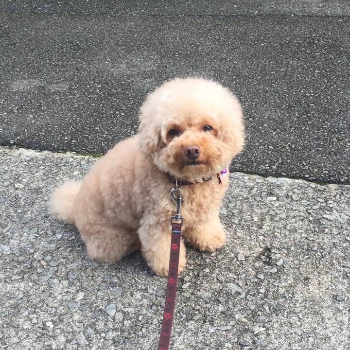 86ec3193 862f 4a91 8120 3993cea84b6a