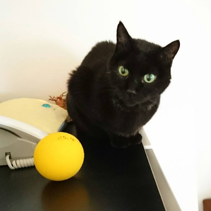 86ec44f9 719c 4d52 ae98 09702eef3777