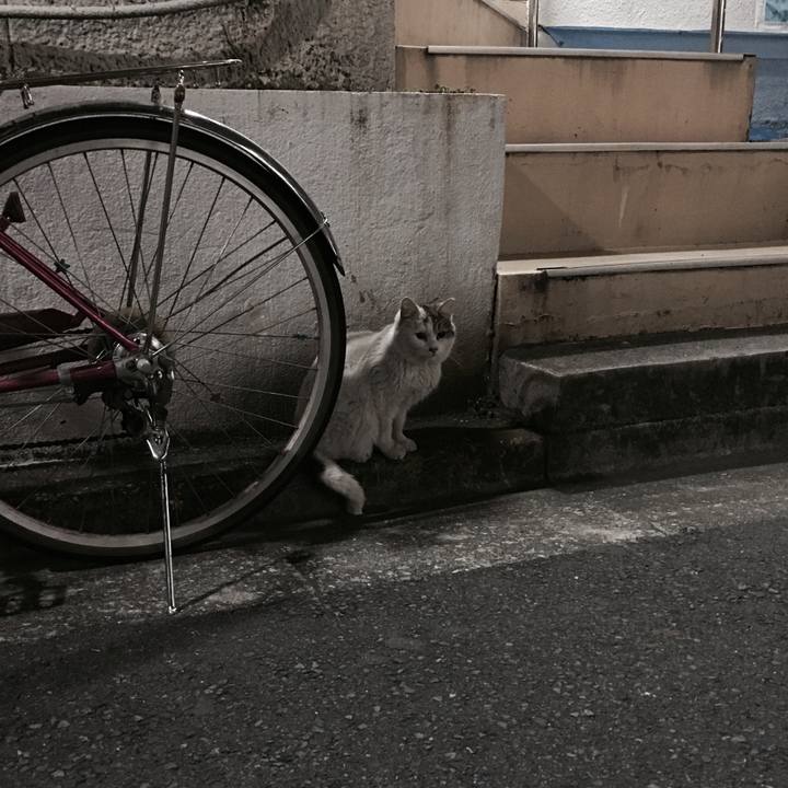 86ec7399 b7a5 4f92 9b8d f8f96fec8319