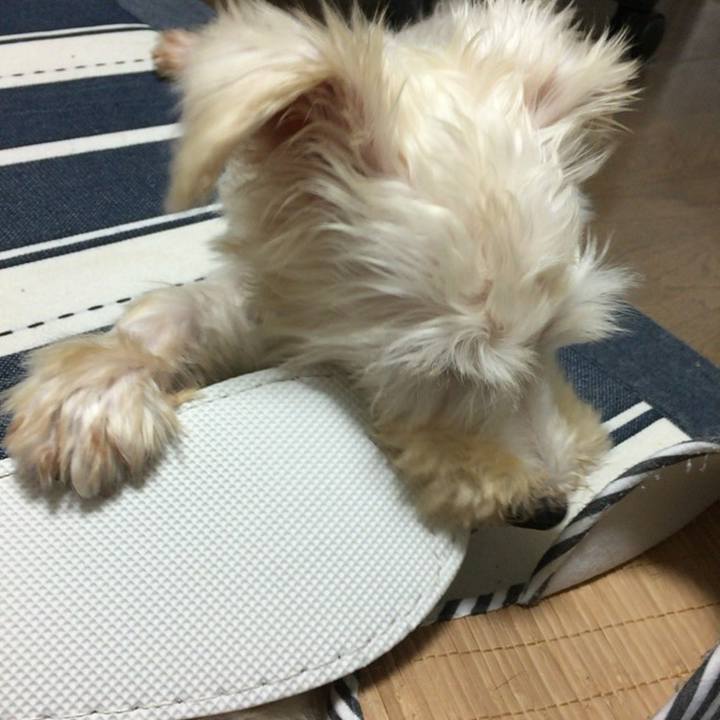 86ecfb2d f317 42a3 a942 0cd199fea474