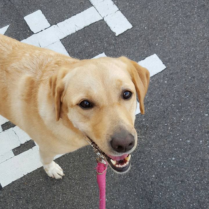 86ed16b4 00ff 461b b608 3d6f446f847a