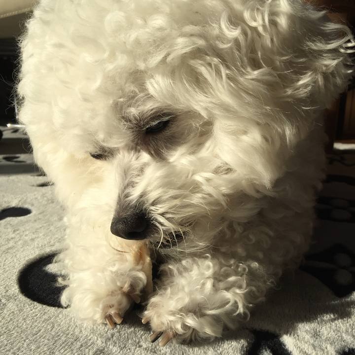 86ed5fd4 f77d 465f b9b9 845b4b2e9264