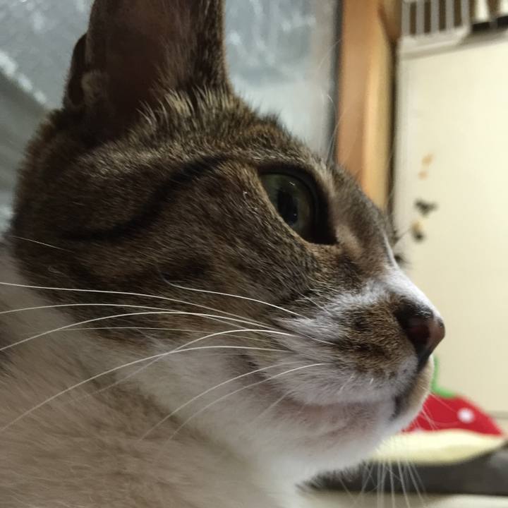 86ed94c6 d745 486b a5cd b7f1dfaef280