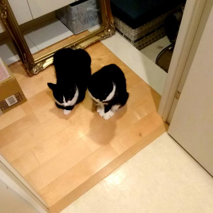 86ee364e 0a61 4f37 91dc 647c5cd36867