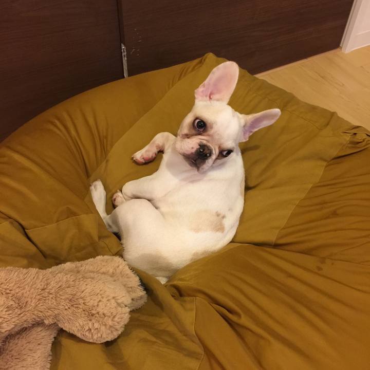 86ef30b8 dbbb 4a58 957e dc3b272e00de