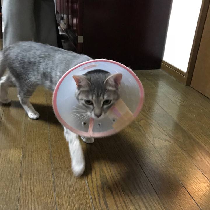 86ef7aab 9d60 4b60 9346 48aaa2c824e4