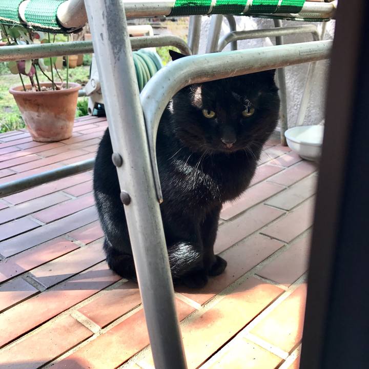 86ef9237 7296 48b5 888b 97048a675650