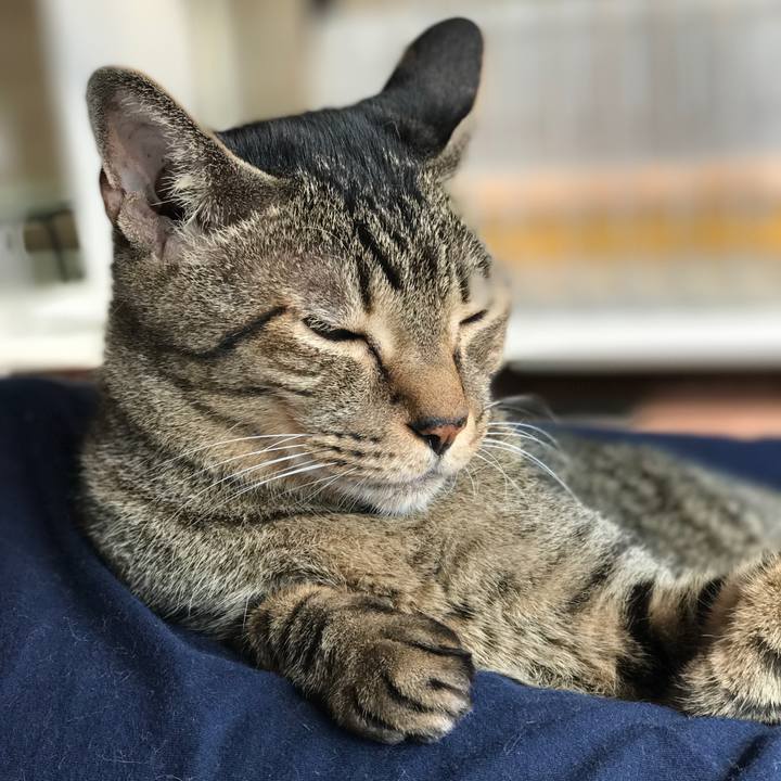 86f0230e 6f0b 4851 9a06 b56ba885f2b1