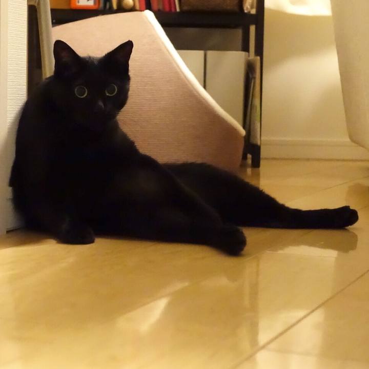 86f054c1 ed4c 4499 ad01 2919cfadab51