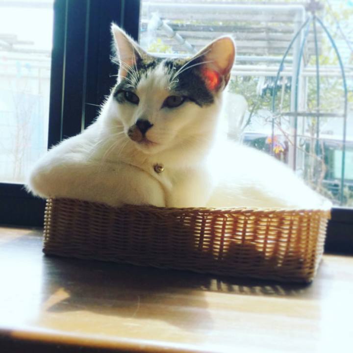 86f05e6c fbd3 4f56 ba13 f361ff97bbca