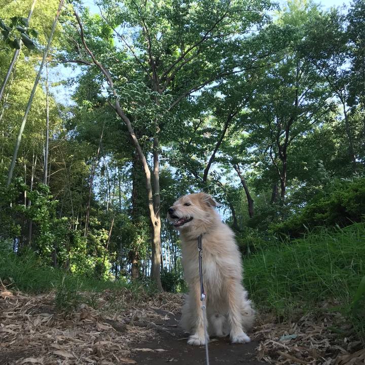 86f13885 1103 4978 9e49 b89b75e85e3f