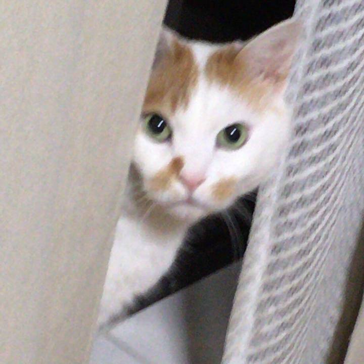 86f2016b 3f00 485d a922 1c5cfb72399b