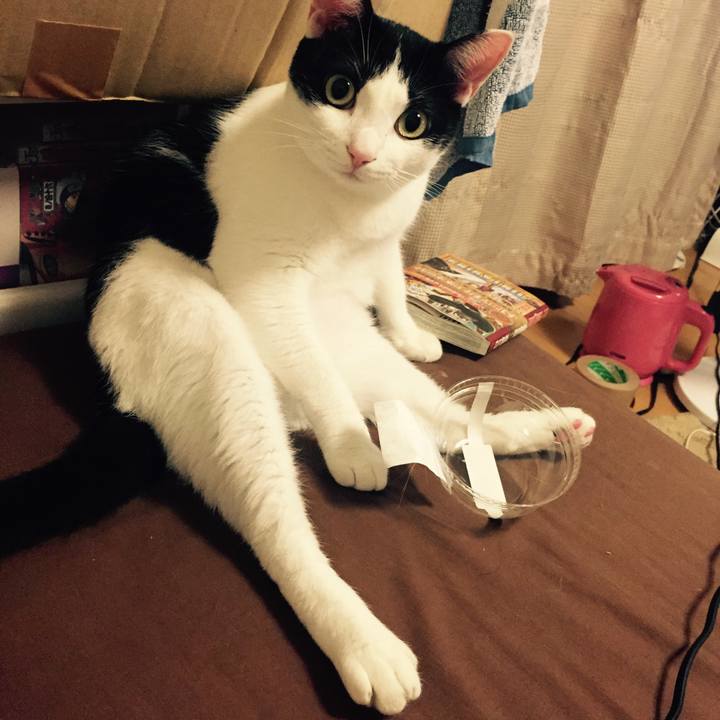 86f3e1a6 c992 4b3d bfde 162e1af7e75c