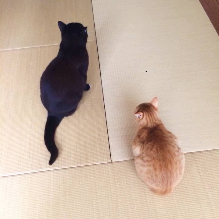 86f4417c 3382 4f17 9d80 eb9003e65b93