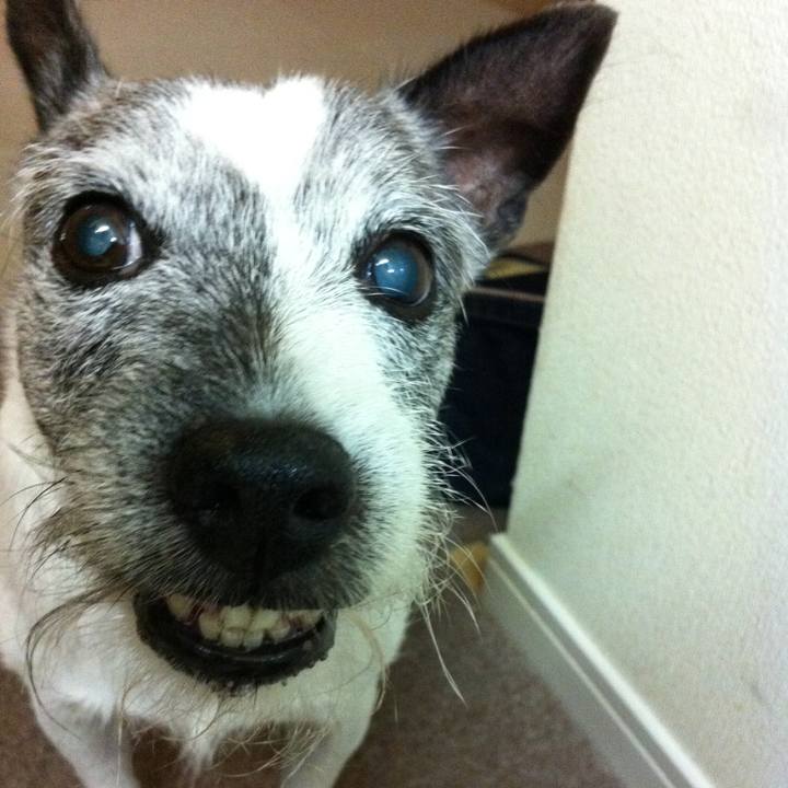 86f54d9d eb35 4b7d 839a 0809f49b5910