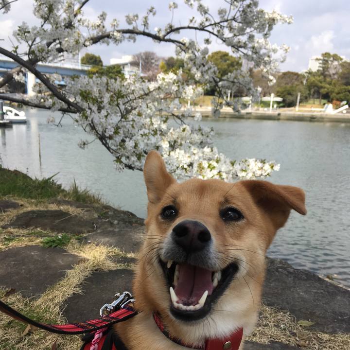 86f5dd8e 1ac7 4b22 804f fd570e510f68