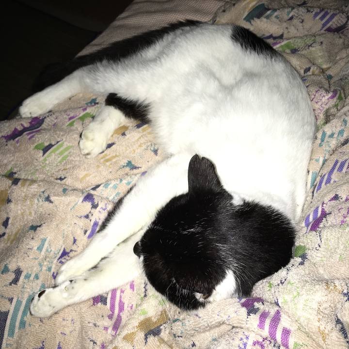 86f8b2e2 b37a 4bda acaf 54319274c5f1