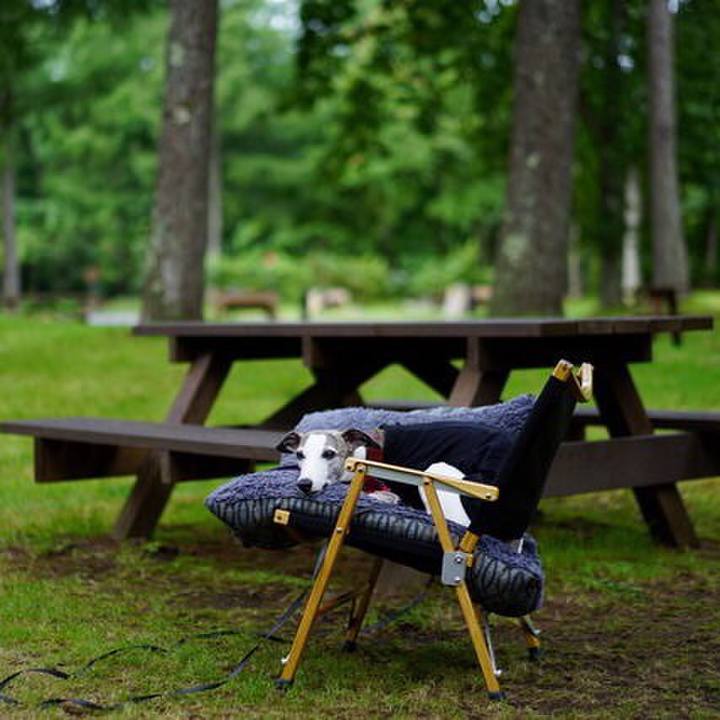 86fac4bd abe0 41d7 b359 a0c719ed7181