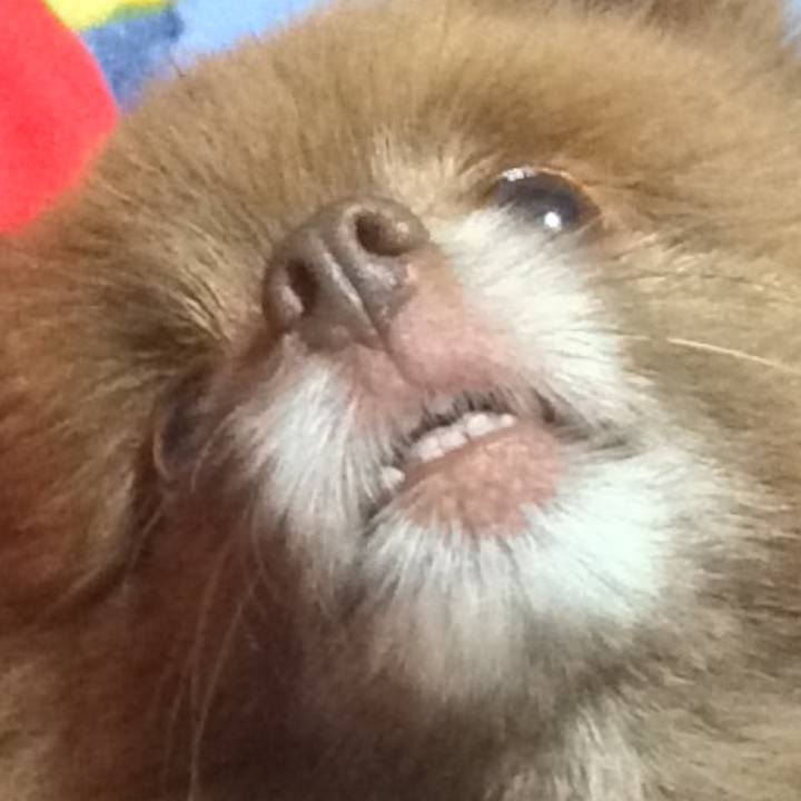 86fb354a 8bb3 473a af99 5a1392ec9195