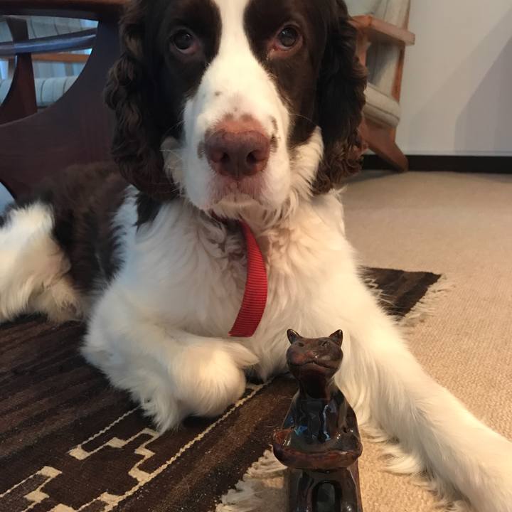 86fbf594 9b37 4f48 aa29 a6bad67d1856