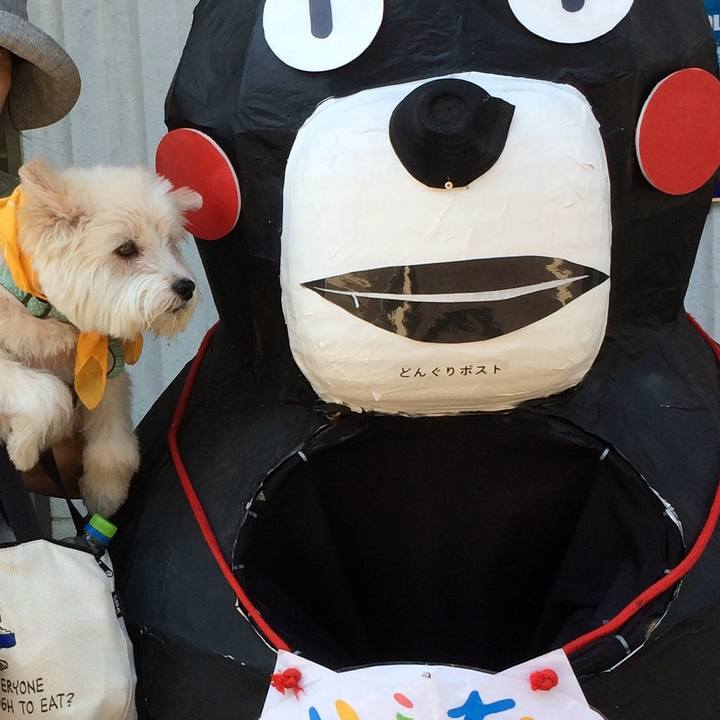 86fc8c98 a365 4564 99d3 f4521c3eafa3