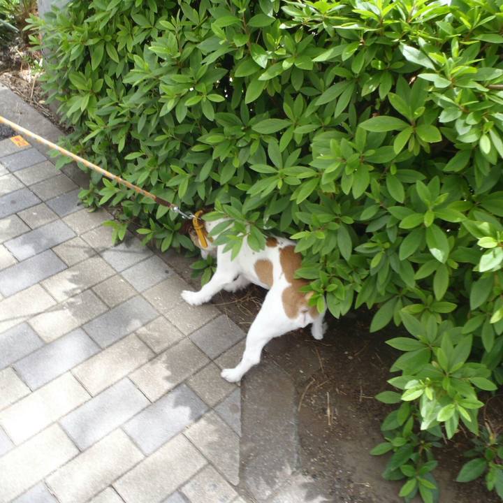 86fcaea8 7e7b 4da2 adb7 a42d730a2325