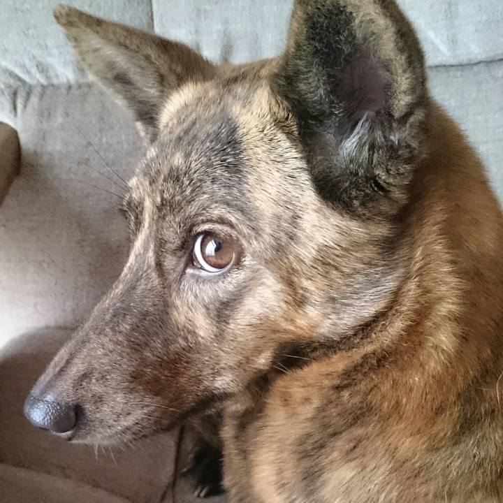 86fcc72e a18b 4c53 acee ab21b7f9f5d6