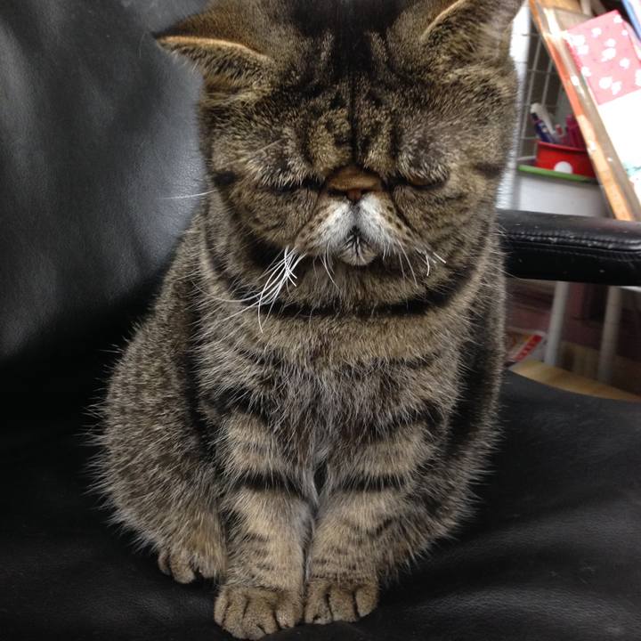 86fce871 d290 4c44 8492 28d89736affa