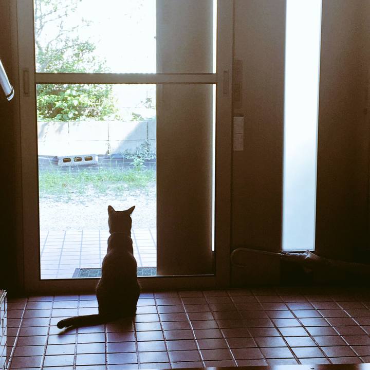 86fd1c68 1ed4 413a 8628 2faaded92d70