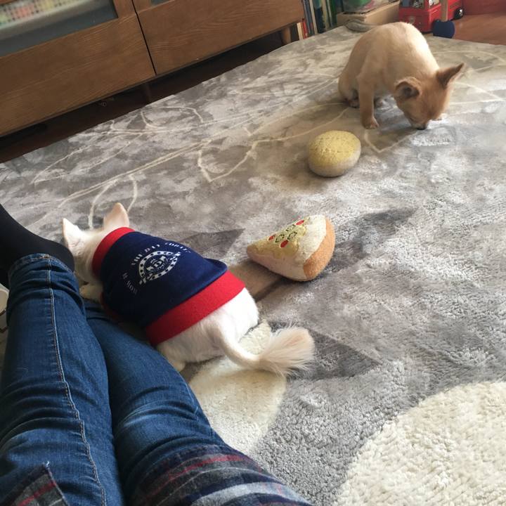 86fd4bc2 ae05 4468 a2fd 260da41dfcc0