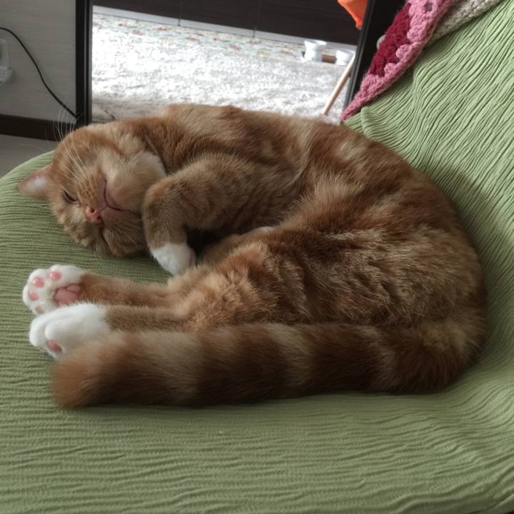 86fe3466 d186 4335 9a17 7075f3e1a55b