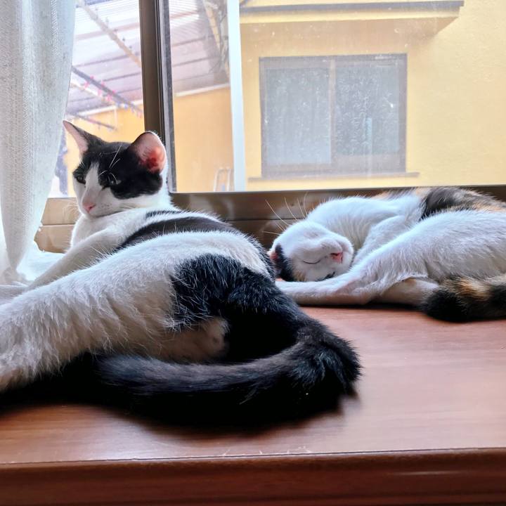 86ff1174 871a 40e7 bdc6 a103c19d4cf6