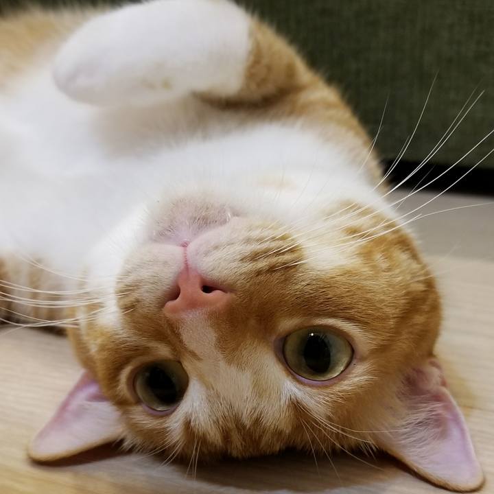 86ffe89c ef81 4f78 a9cf 527c90e3b4e3