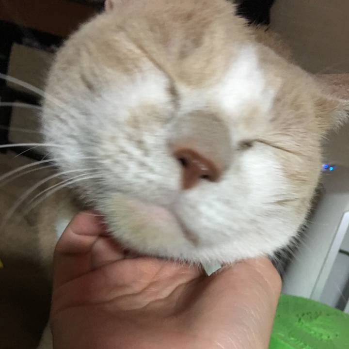 870004e4 6215 47ad ba76 4323b91123d5