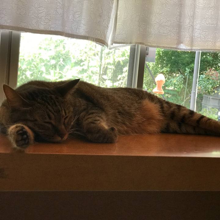 87004000 7551 436d 9e6a 8991c8c0021f