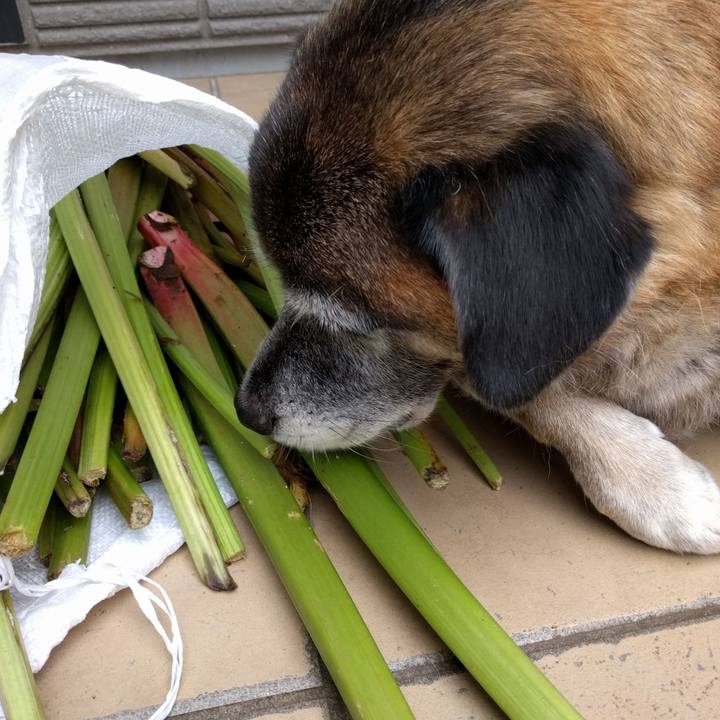 870109b9 1664 452a afa4 6566f845cb91