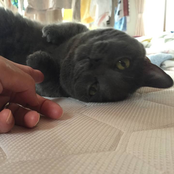 8701736b bf3f 4c2b a5ee db24bc6e3d5d