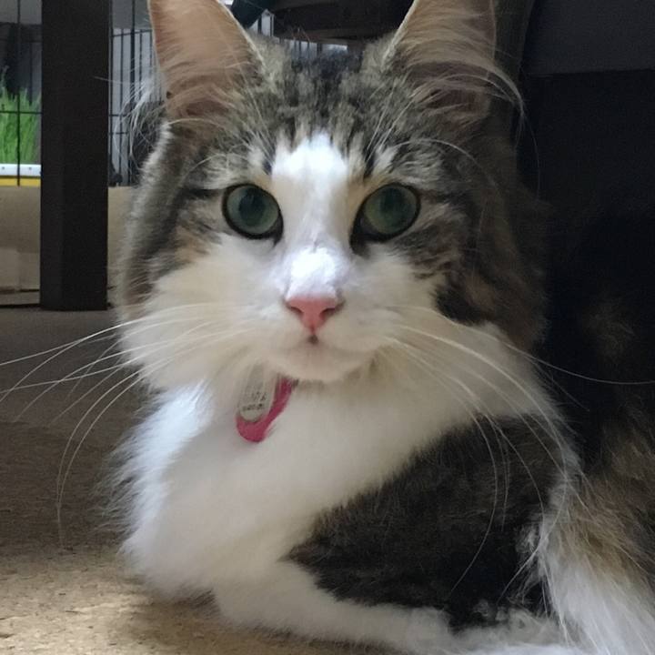 870217e6 243f 46a3 80e0 5c0490c0d128