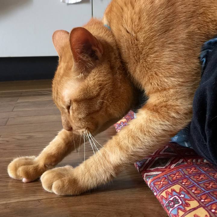 87024ba4 973f 4002 b7b6 bdc9293e0d6f