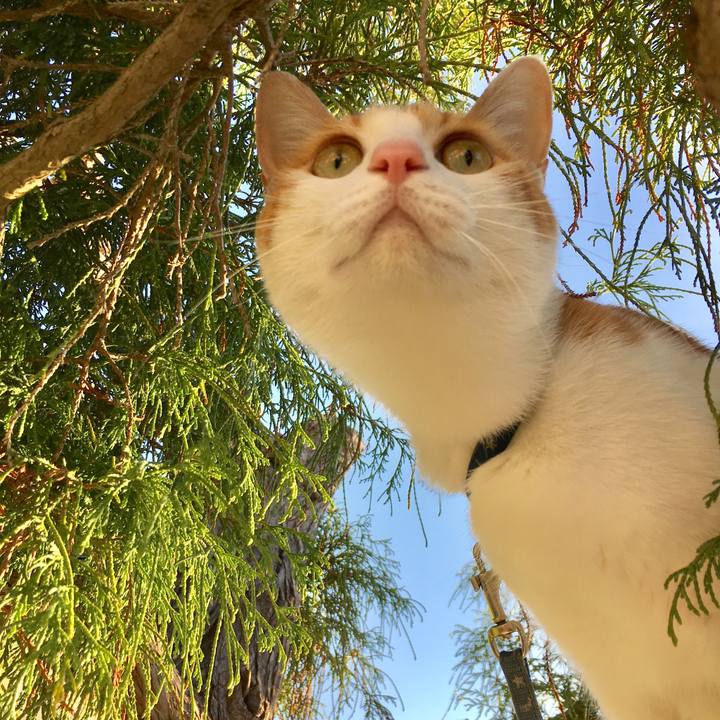 87031faf 3644 4aa8 80cb 4a29cbbf8b81