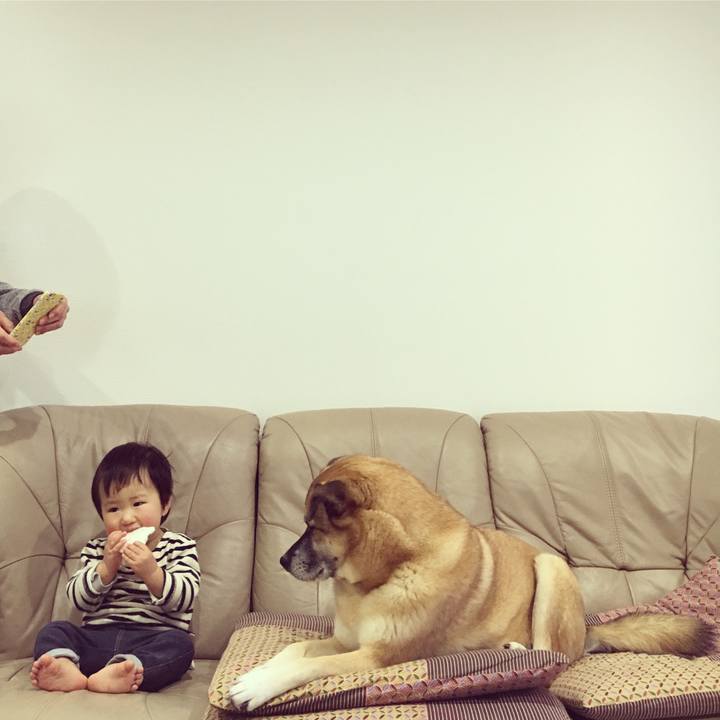 870345ab 00fa 458a ae2d 7ee9b5c84949