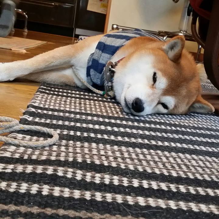 87034b93 b120 49df b230 6f6d9138bf0e