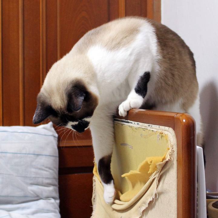 8703f7cc c5c6 4fb7 9130 01bf00cba4d5